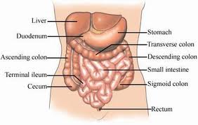 Is IBS Ruling Your Life