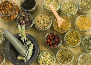 The Healing Power of Herbs